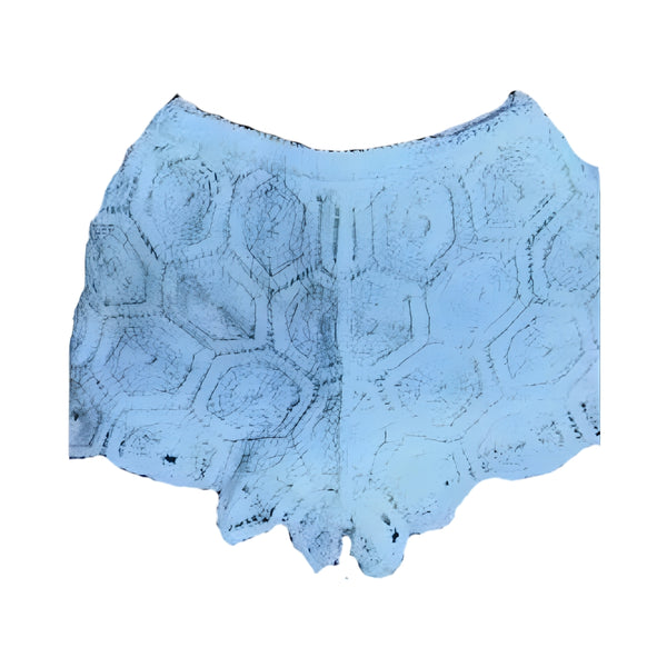 Ladies Shorts - Cream